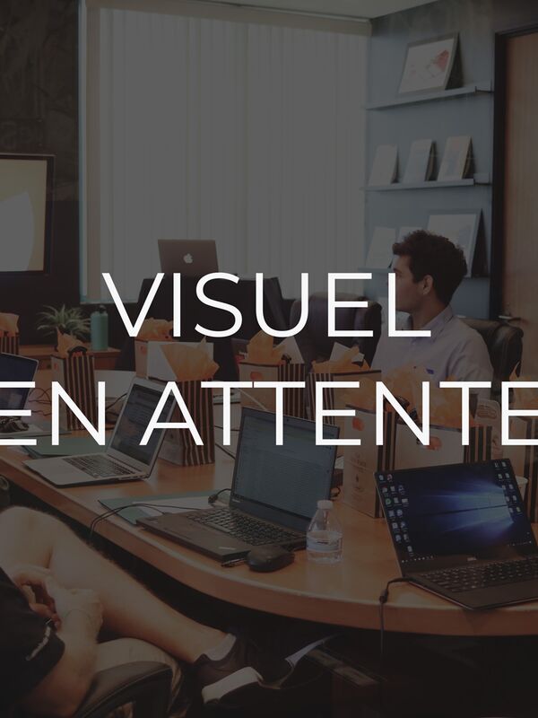 texte alternatif a remplacer